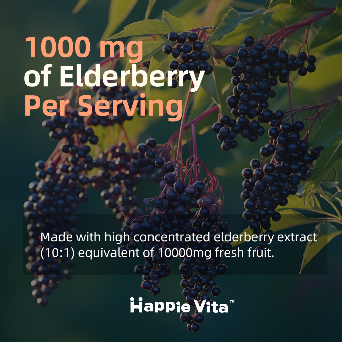 5 in 1 Immune Support